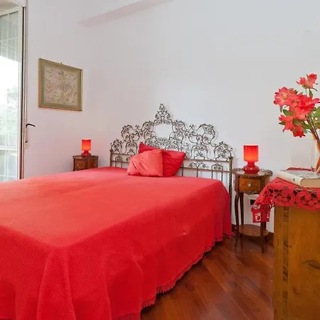 Pateras Flower-rental In *